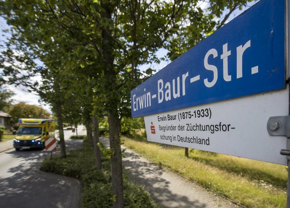Die Erwin-Baur-Straße in Quedlinburg: Bei den Erläuterungen zur Person Baurs fehlt eine wichtige Facette des Wissenschaftlers - er war auch Rassenhygieniker.