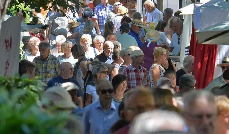 Die Messe im Stadtpark war sehr gut besucht. Die Händler waren zufrieden.