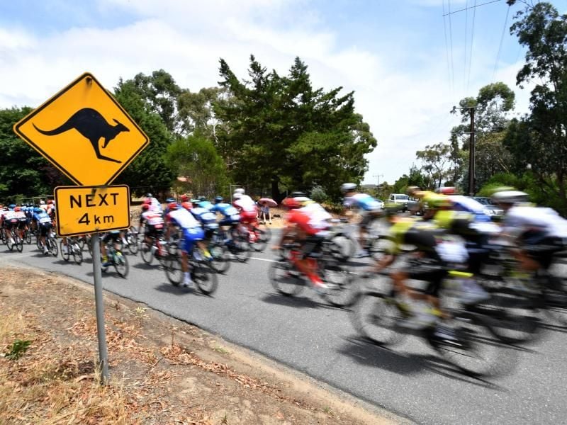 Die Tour Down Under und das Cadel Evans Great Ocean Road Race sind für den kommenden Januar abgesagt. Foto: David Mariuz/AAP/dpa/Archivbild