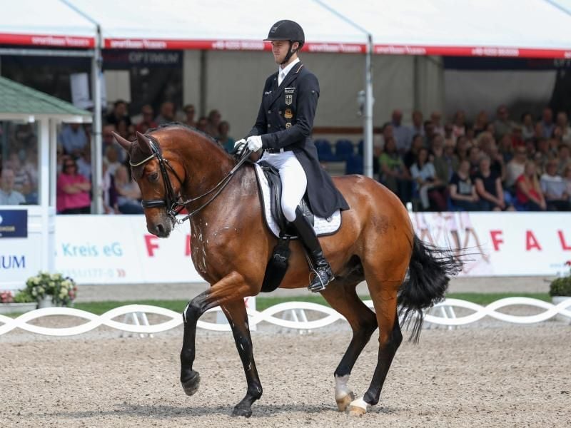 Sönke Rothenberger gewann mit Cosmo im Grand Prix Special auch die Kür. Foto: Friso Gentsch