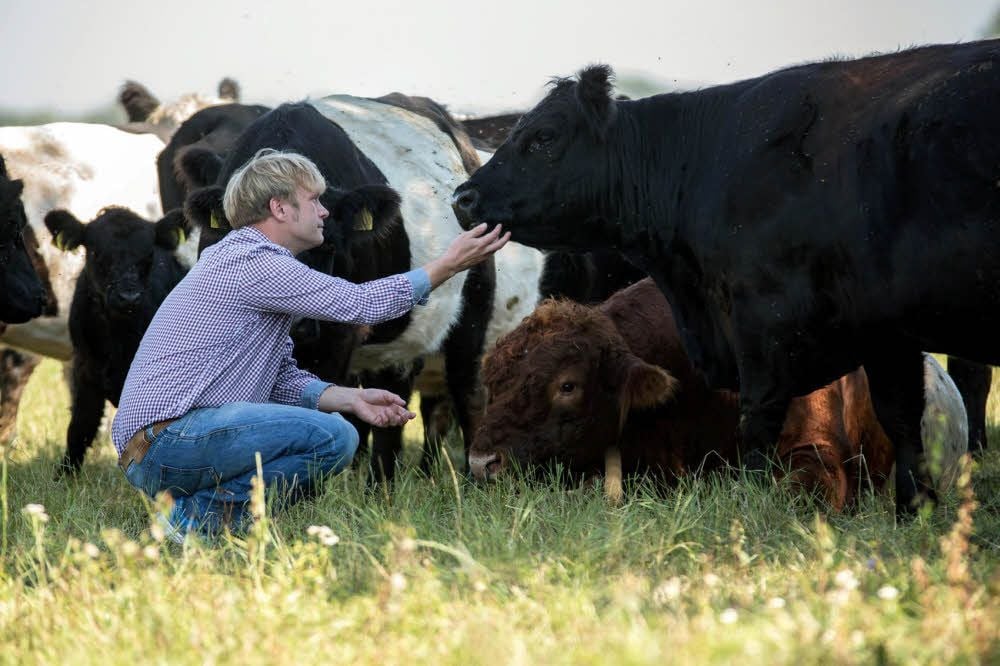 Wenn Tino Baumgart seine Tiere auf der Weide aufsucht, wird er von den geselligen Vierbeinern freundlich begrüßt.
