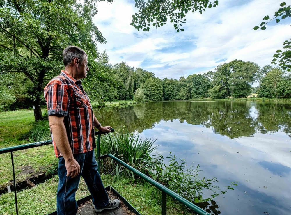 Sorgenvoller Blick über den Teich. Vereinschef Roland Lange hat eigenhändig zahllose Fischkadaver aus dem Wasser gezogen.