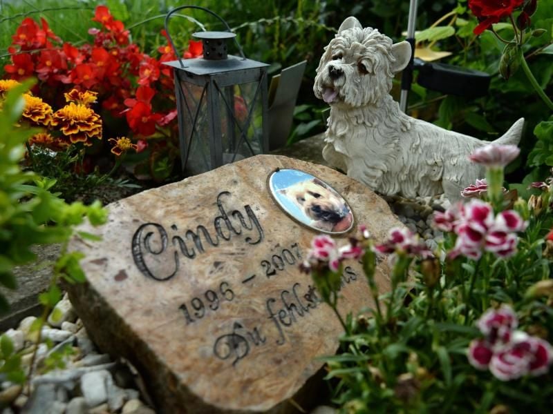 Wer sein Haustier bestatten lassen möchte, hat viele Möglichkeiten: von der Beerdigung auf dem Friedhof bis hin zum Einäschern. Foto: Andrea Warnecke/dpa-tmn