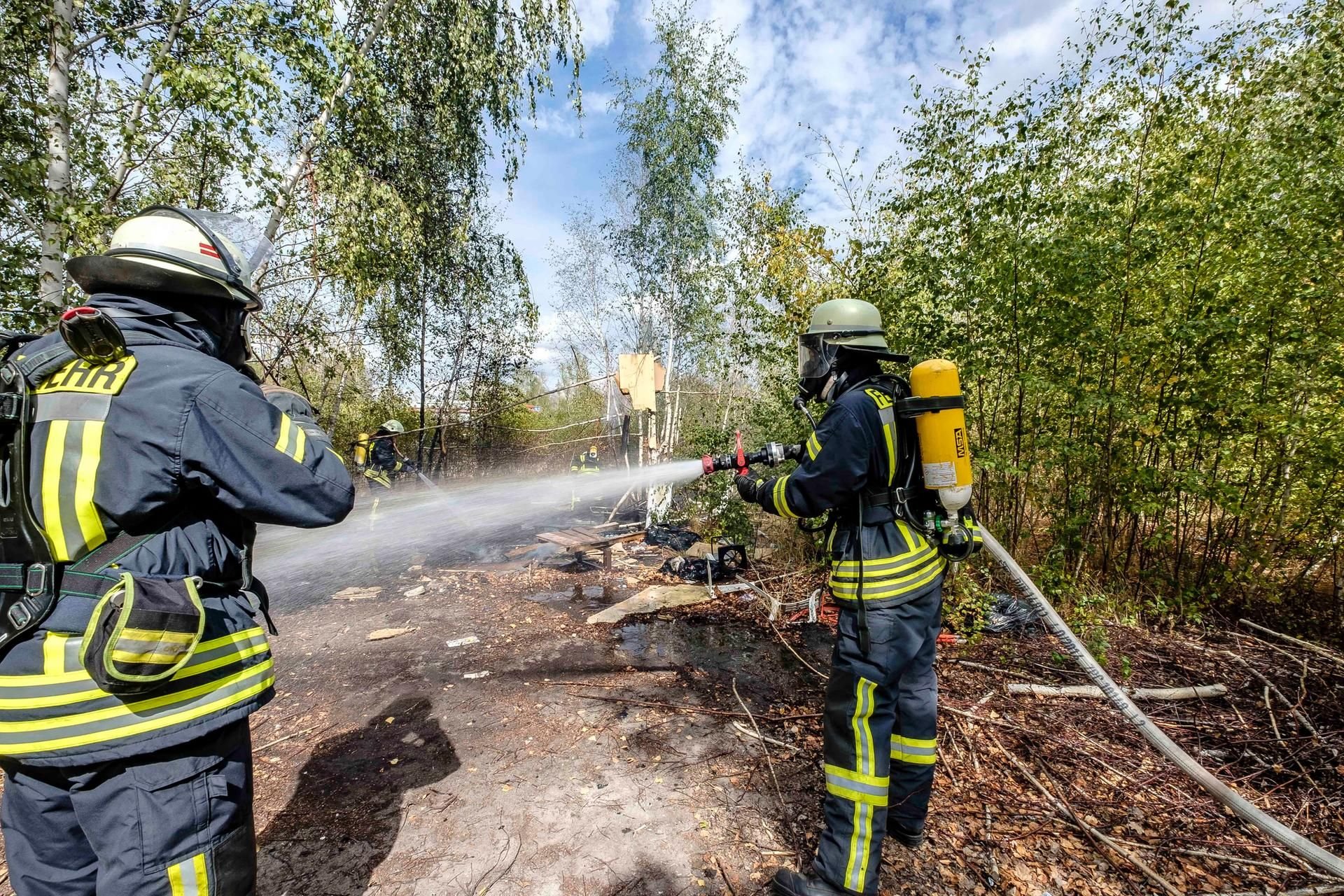 Feuerwehreinsatz in Wittenberg 150 Quadratmeter Ödland und Unrat in