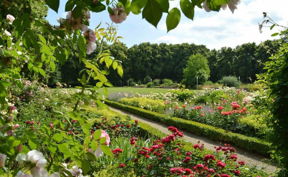 Eine faszinierende Landschaft: Der Kurpark Bad Schmiedeberg bietet viele Facetten.