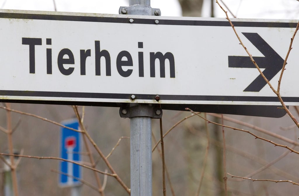 Ein Schild «Tierheim» ist vor einem Schild «Sackgasse» zu sehen.