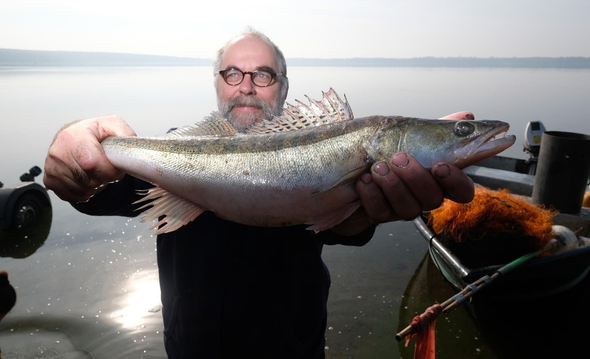 Fischer Tom Bernau hält einen Zander in den Händen. Seit 1992 hat Bernau seinen Betrieb und fischt auf dem Grünsee und einem Abschnitt der Mulde.