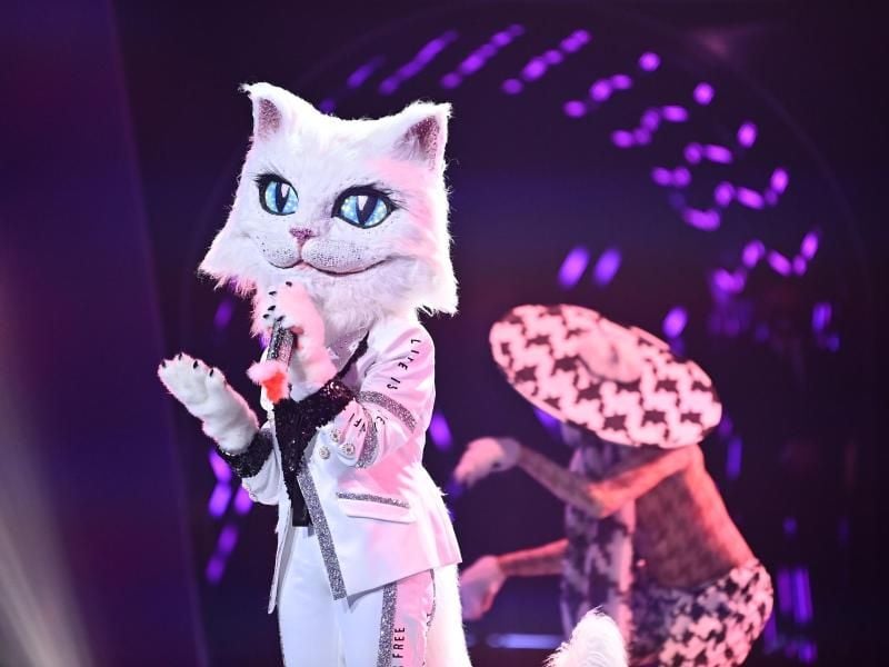 Die Figur „Die Katze” in der ProSieben-Show „The Masked Singer”. Foto: Willi Weber/ProSieben/dpa