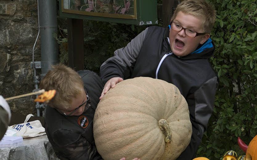 Ganz schön schwer: Tim und Max Grünberg stemmen beim Kürbisfest in Harzgerode einen Kürbis.
