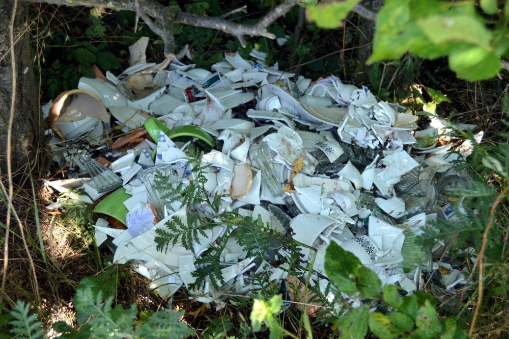 Auch kaputtes Geschirr wurde in der Natur entsorgt.