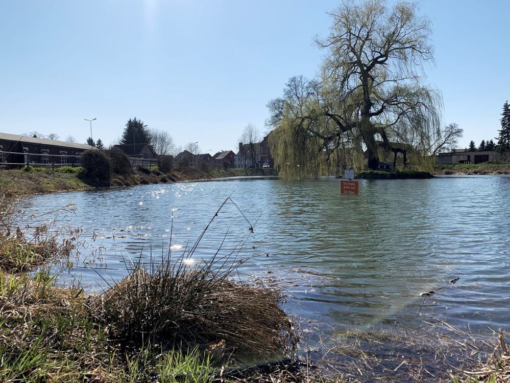 Der Angelverein in Mühlanger hat nach den reichlichen Niederschlägen den Zulauf vom Zahnabach zum Angelteich wieder geöffnet. Auf dem orangefarbenen Schild ist zu lesen: „Die Angler geben auf! Der Biber hat gewonnen.“ Jetzt stehen die letzten Worte unter Wasser. Die Frage ist, ob das so bleibt.