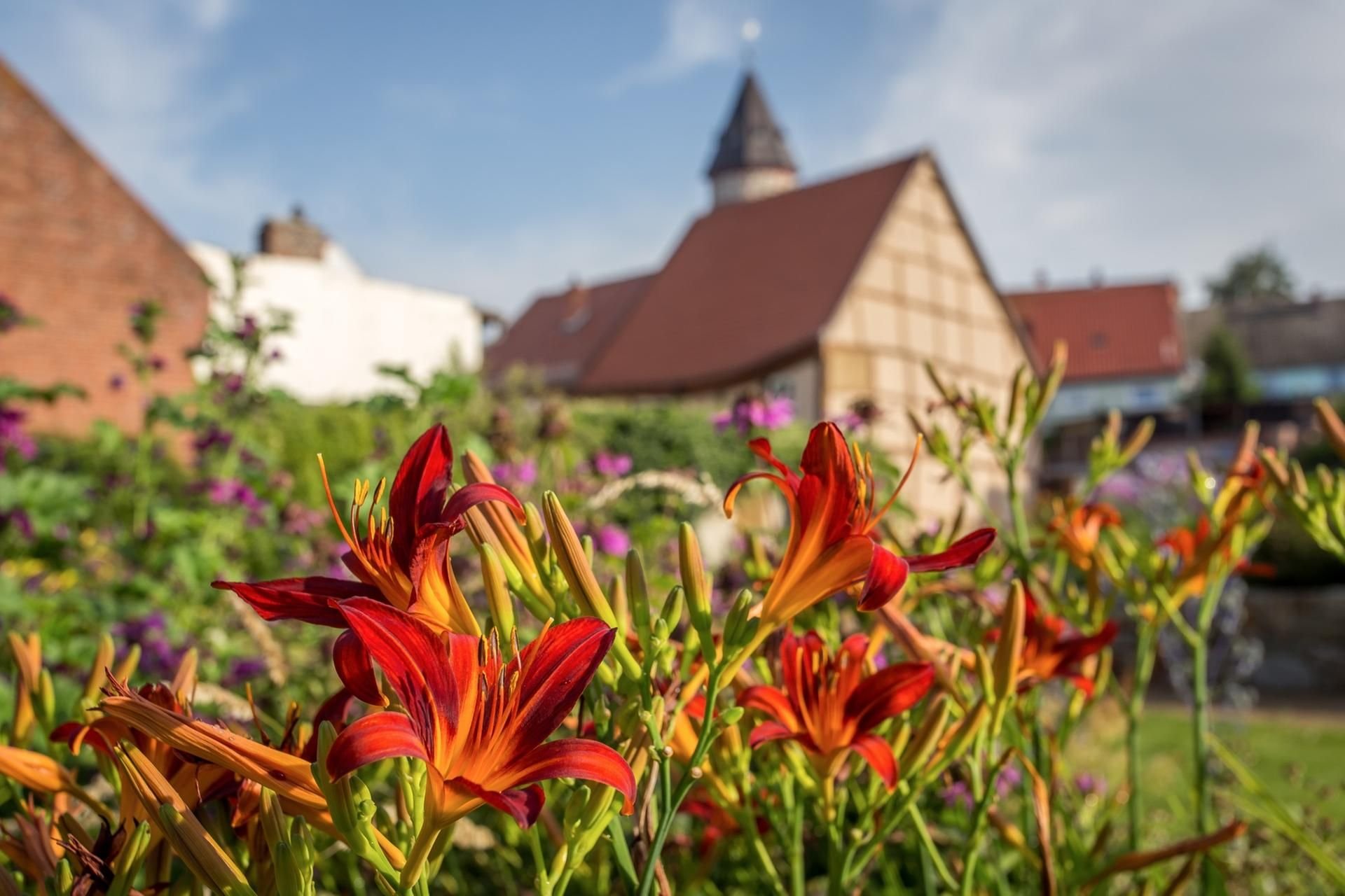 Am 21. April öffnet die Landesgartenschau 2018 in Burg ihre Tore.