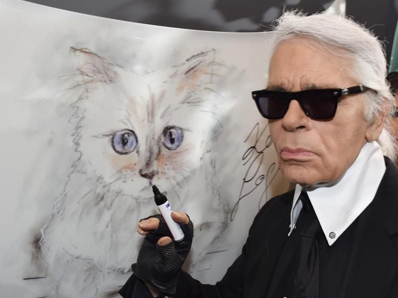 Der Modedesigner Karl Lagerfeld steht 2015 bei der Vernissage „Corsa Karl und Choupette” für seinen Fotokalender im Palazzo Italia an einer Zeichnung seiner Katze. Foto: Jens Kalaene/dpa-Zentralbild/dpa