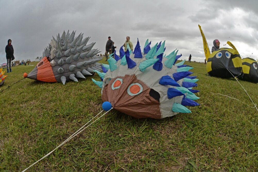 Auch Igel können fliegen - zumindest bei den traditionellen Drachenfesten des Luftsportvereins in Aschersleben.