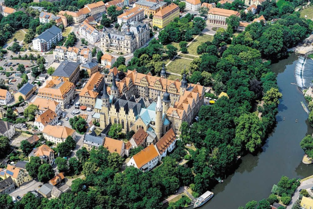 Ahornbäume in Merseburg sind von der Rußrindenkrankheit befallen. Diese können gesundheitliche Schäden verursachen.