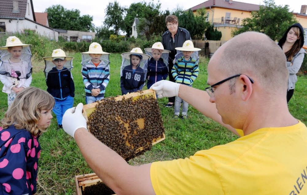 Das große Krabbeln: Lotta-Marie (l.) und ihre Freunde betrachten neugierig die Bienen von Aschenbrenner.