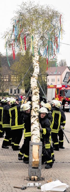 Maibäume, wie hier in Kayna, werden aufgestellt.