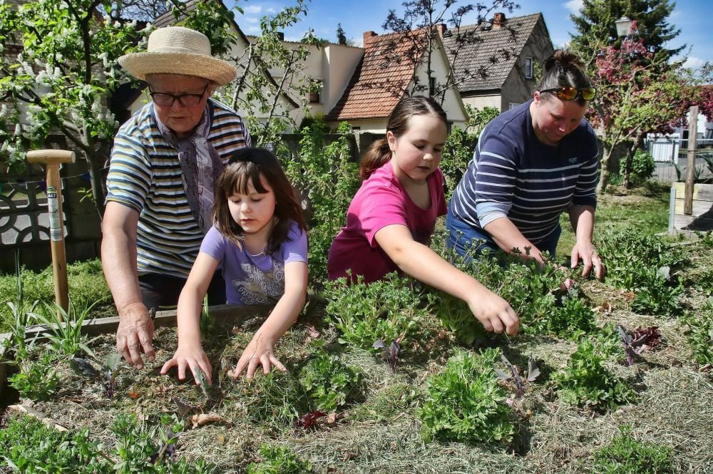 Dorothea Süß (links) mit Soraya (6), Darina (9), Mandy Dobers aus Wolfsberg beim Mulchen.
