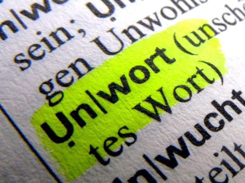 Das Wort „Unwort” ist in einem Wörterbuch zu lesen. Foto: Stephan Jansen/dpa/Archivbild