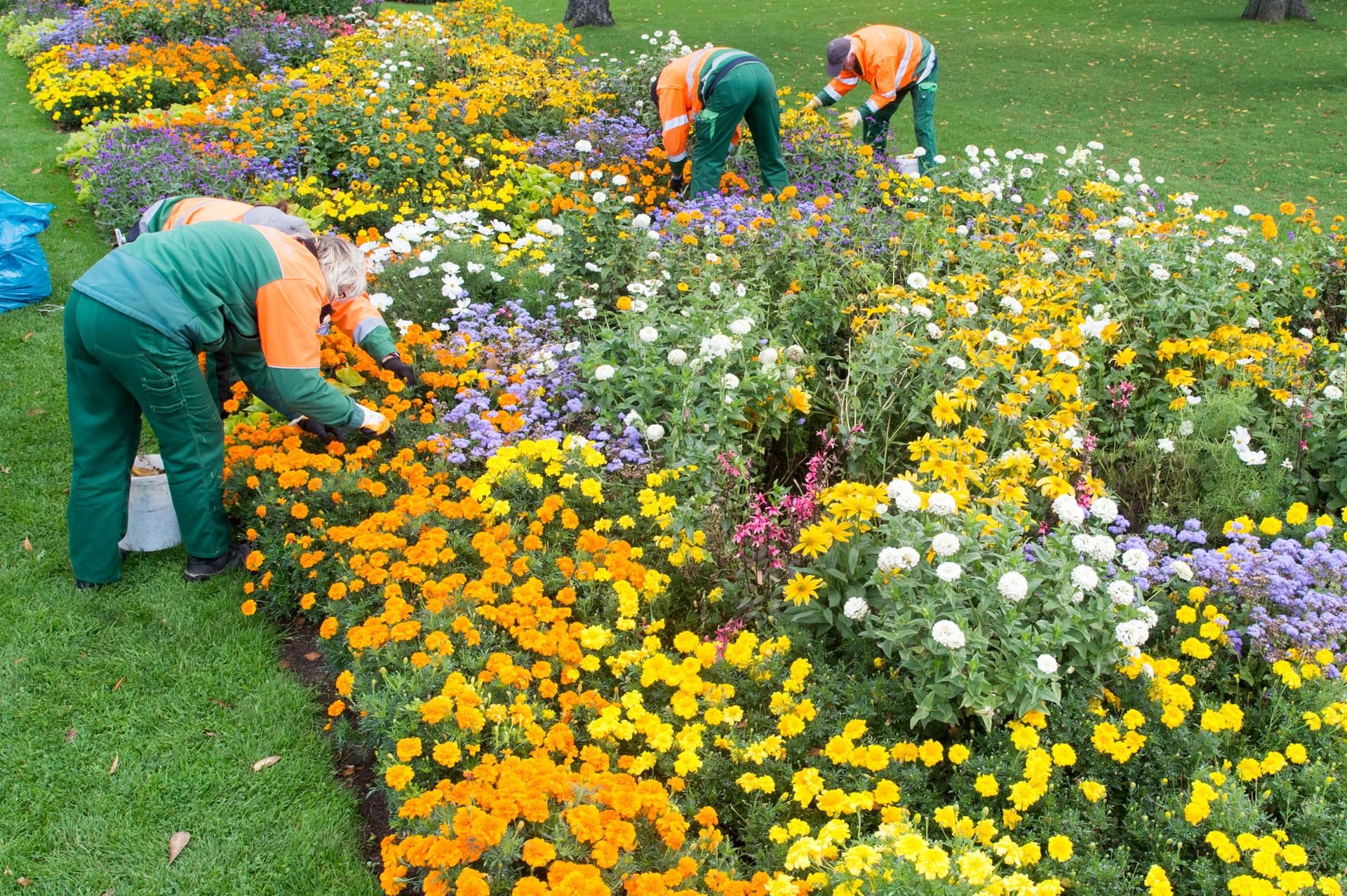 Für die Durchführung der Landesgartenschau in Bad Dürrenberg muss eine gemeinnützige Gesellschaft gegründet werden.