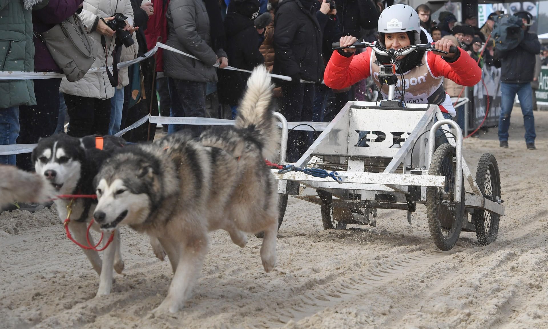 Schauspielerin Ulrike Folkerts fährt bei dem Schlittenhunderennen „Baltic Lights“ auf Userdom ins Ziel ein.