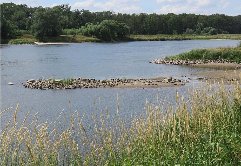 Die Elbe bei Dessau.