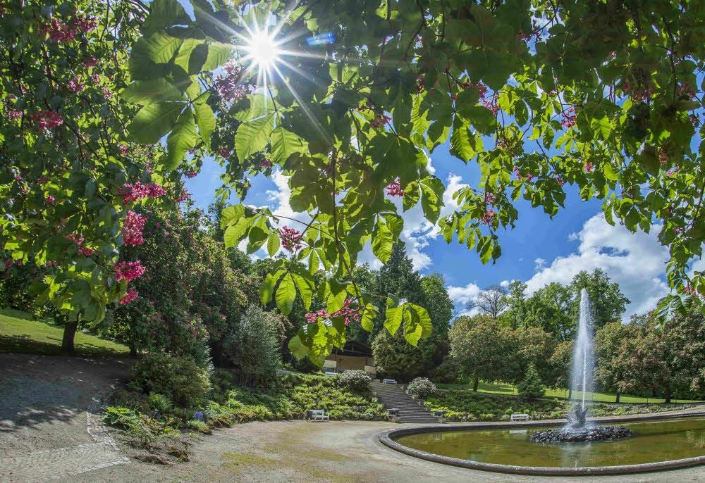 Das Lindwurm-Becken an der Wasserachse im Schlosspark Ballenstedt