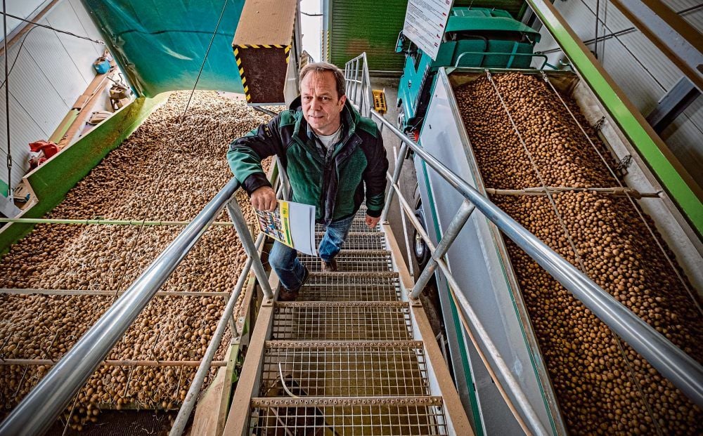 Landwirt Lutz Trautmann erläutert die Verladung der Kartoffeln. 150 Tonnen werden von der Agrargenossenschaft Hedersleben jeden Tag ausgeliefert.