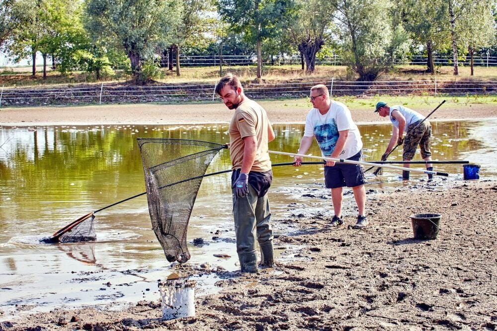Ein trauriger Tag für Chris Schuchardt (Mitte) und seine Kameraden, die aus der Bebitzer „Pfütze“ die toten Fische holen.