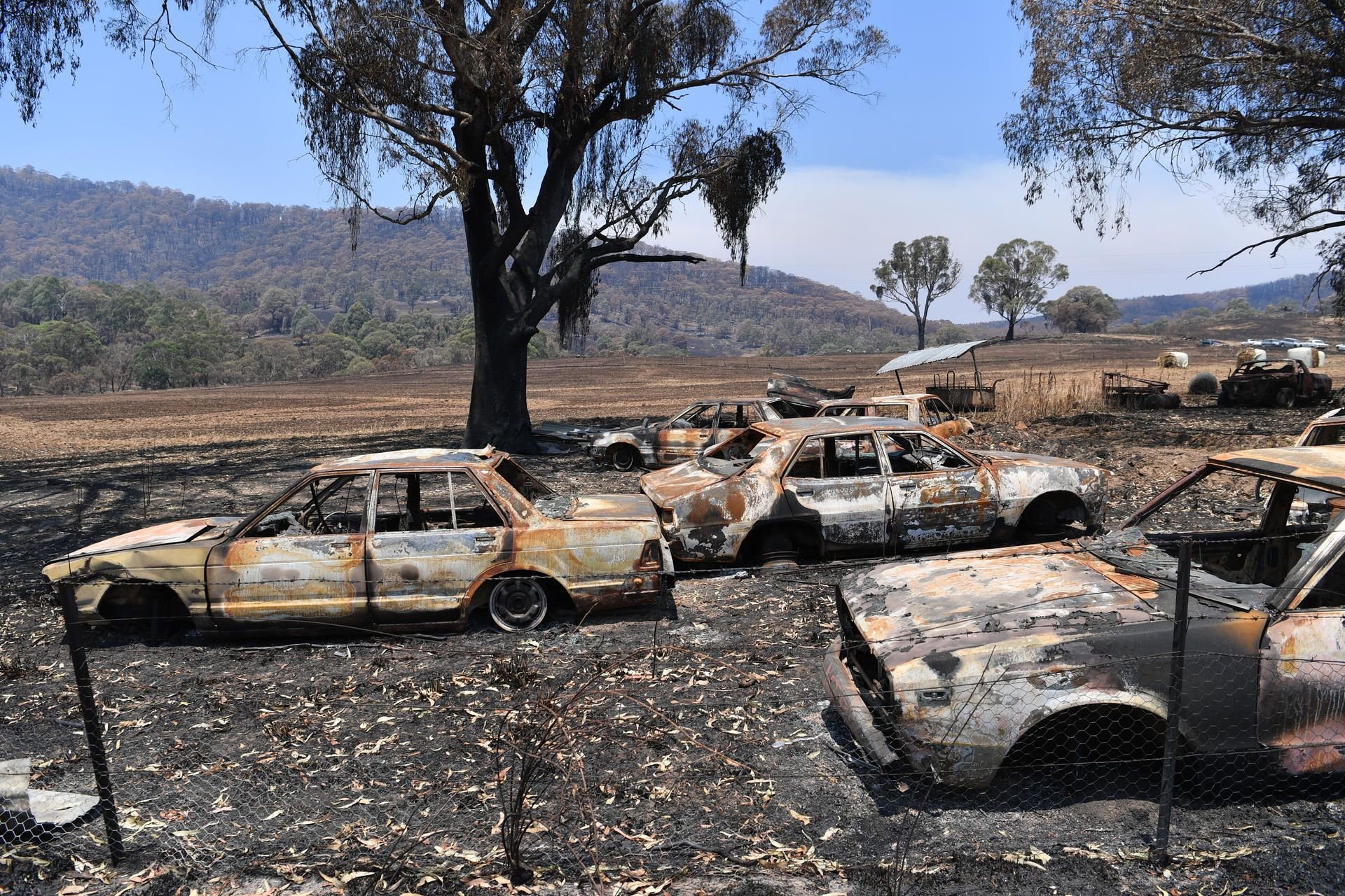 Völlig ausgebrannte Autos stehen in New South Wales (Australien).