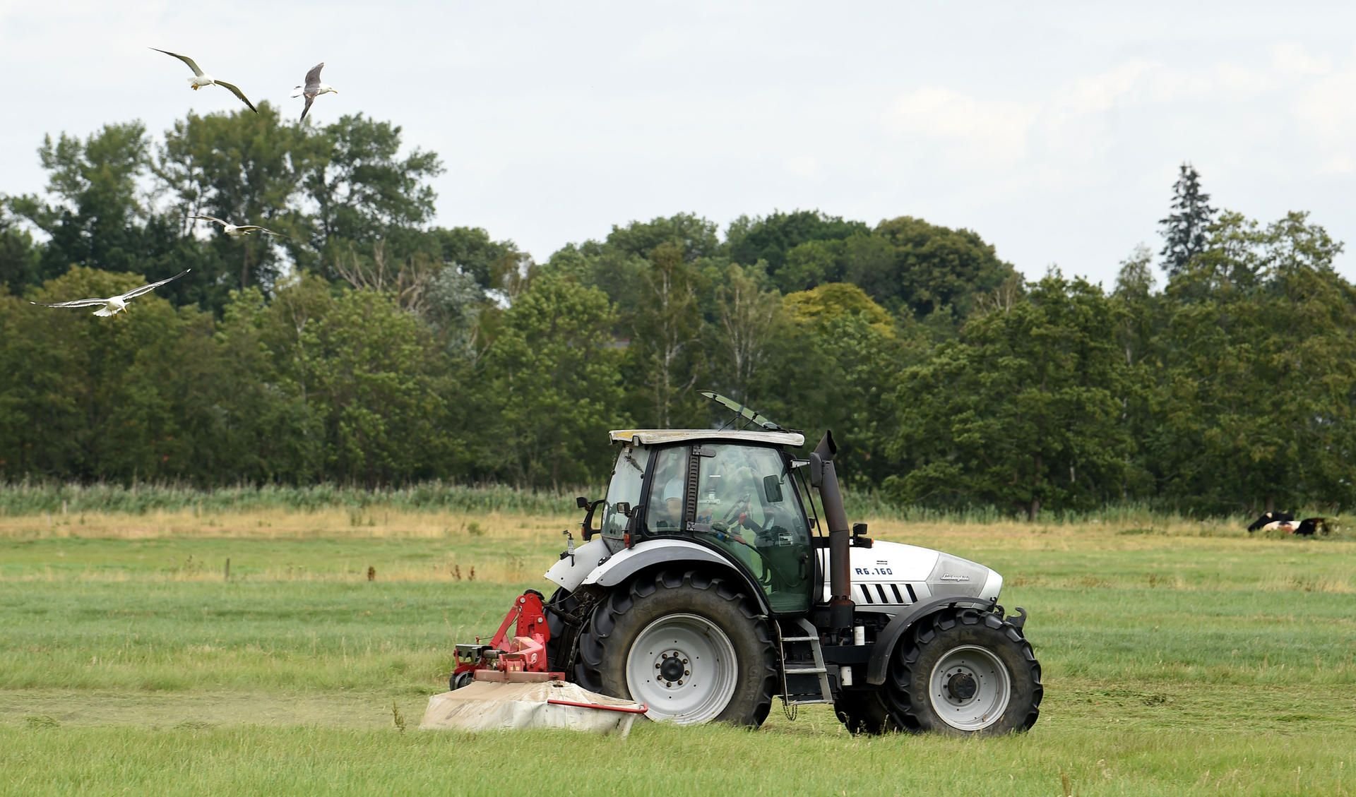 Ein Traktor im Einsatz.
