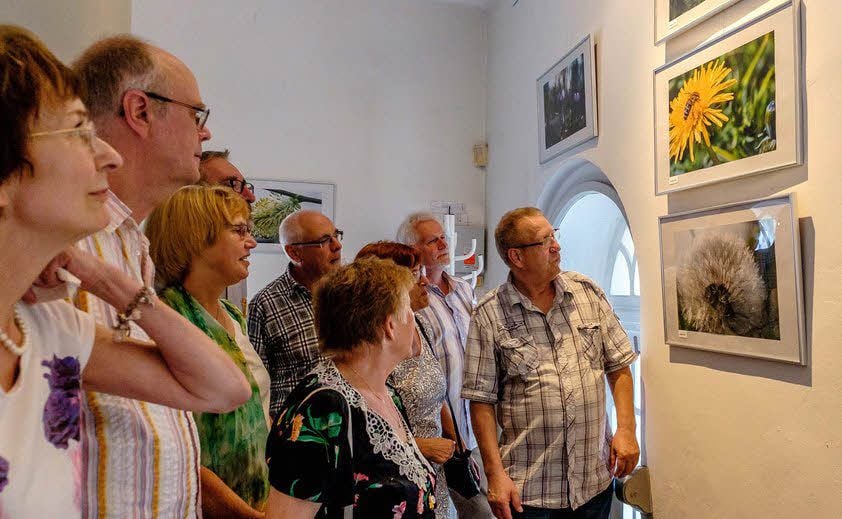 Die Ausstellung "Plants" vom Fotoclub Gräfenhainichen kann nun wohl doch bis zum geplanten Ende besichtigt werden.