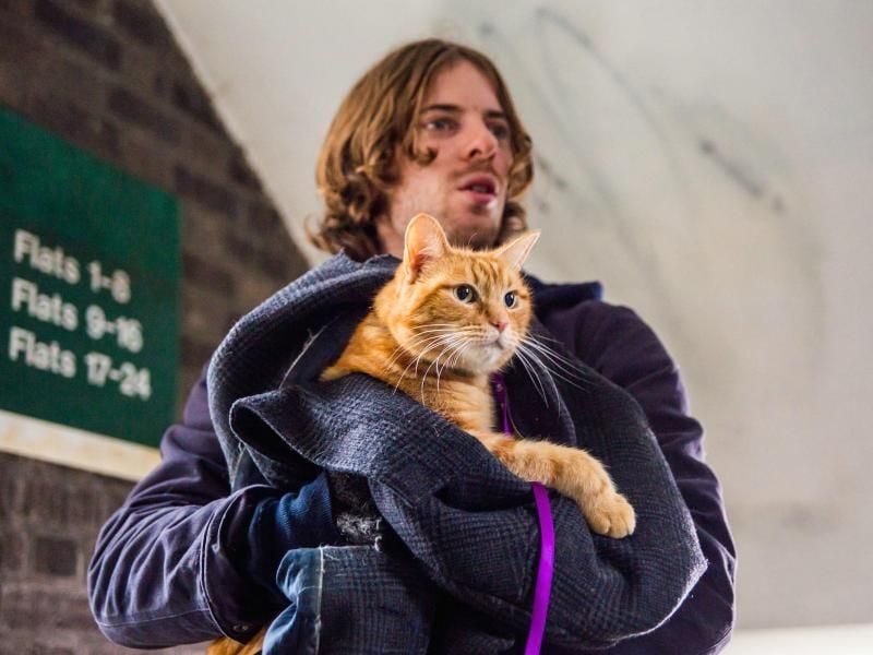 Luke Treadaway als James und sein Gefährte Kater Bob. Foto: Concorde
