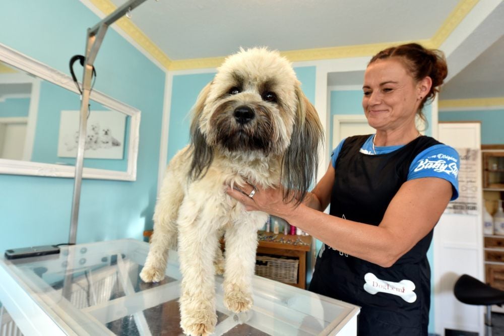Susanne Beyer in ihrem Hundesalon bei der Arbeit.