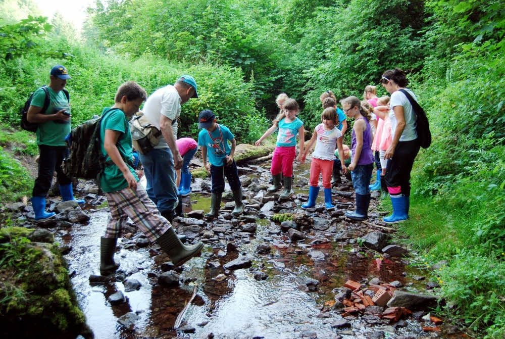 Das Leben im und am Bach haben Hortkinder des Evangelischen Kindergartens Lützen in Geraberg erkundet.
