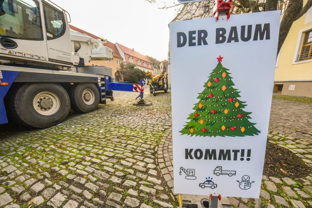 Hinweis in der Stadt: Der Baum kommt.
