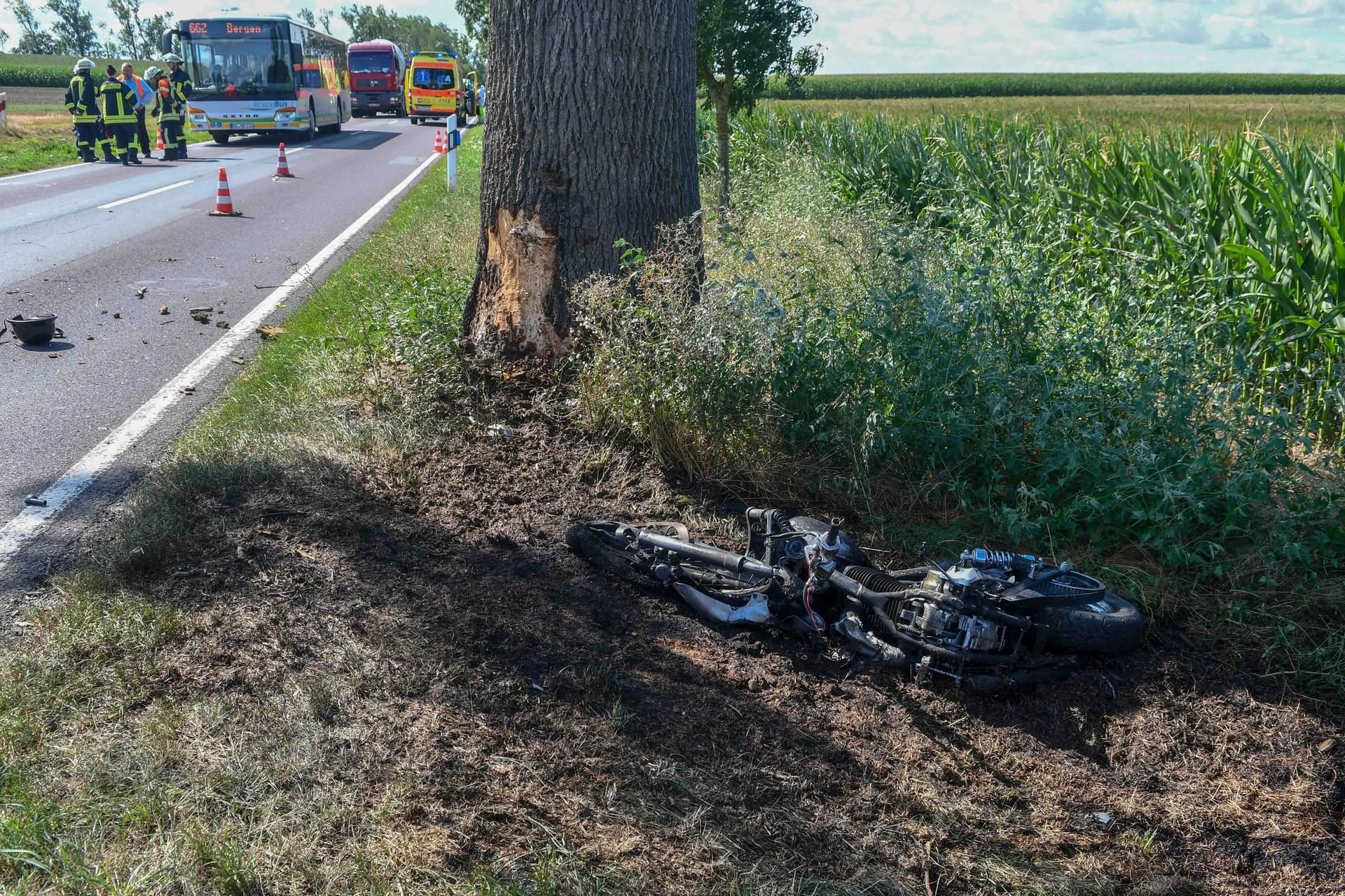 Der Biker fuhr frontal gegen den Baum.
