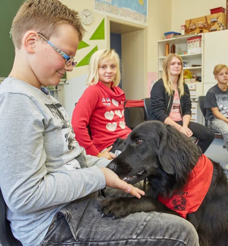 Für ein Leckerli ist Hund Bonnie immer zu haben. Doch sie hilft auch den Kindern, sich im Unterricht besser zu konzentrieren und zu lernen.