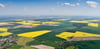 Blick aus einem Kleinflugzeug auf die bunte Frühlingslandschaft mit den vielen gelben Rapsfeldern im Landkreis Märkisch-Oderland nahe Müncheberg.