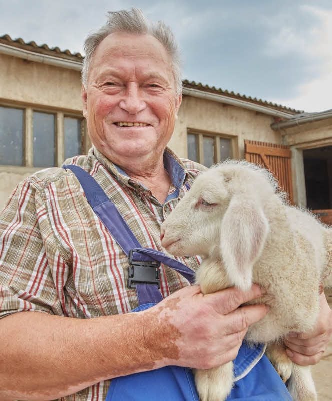 Günther Koch mit dem jüngsten Mitglied seiner Schafherde