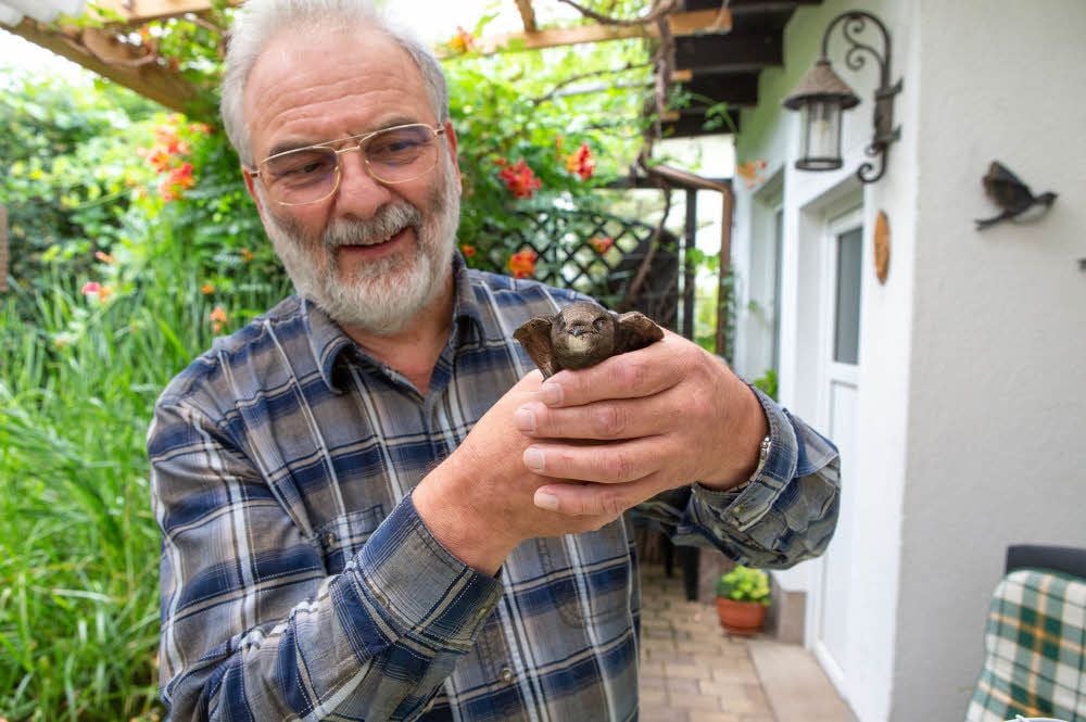 Rolf Hausch mit einer kleinen Rauchschwalbe, die noch etwas Fürsorge braucht.