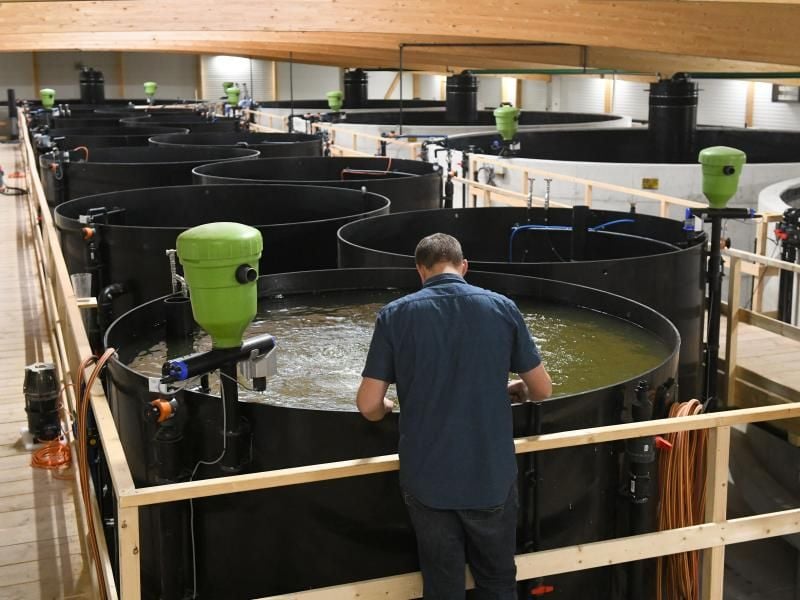 Garnelenzüchter Sven Damm steht vor einer Aquakultur. Foto: Uwe Zucchi