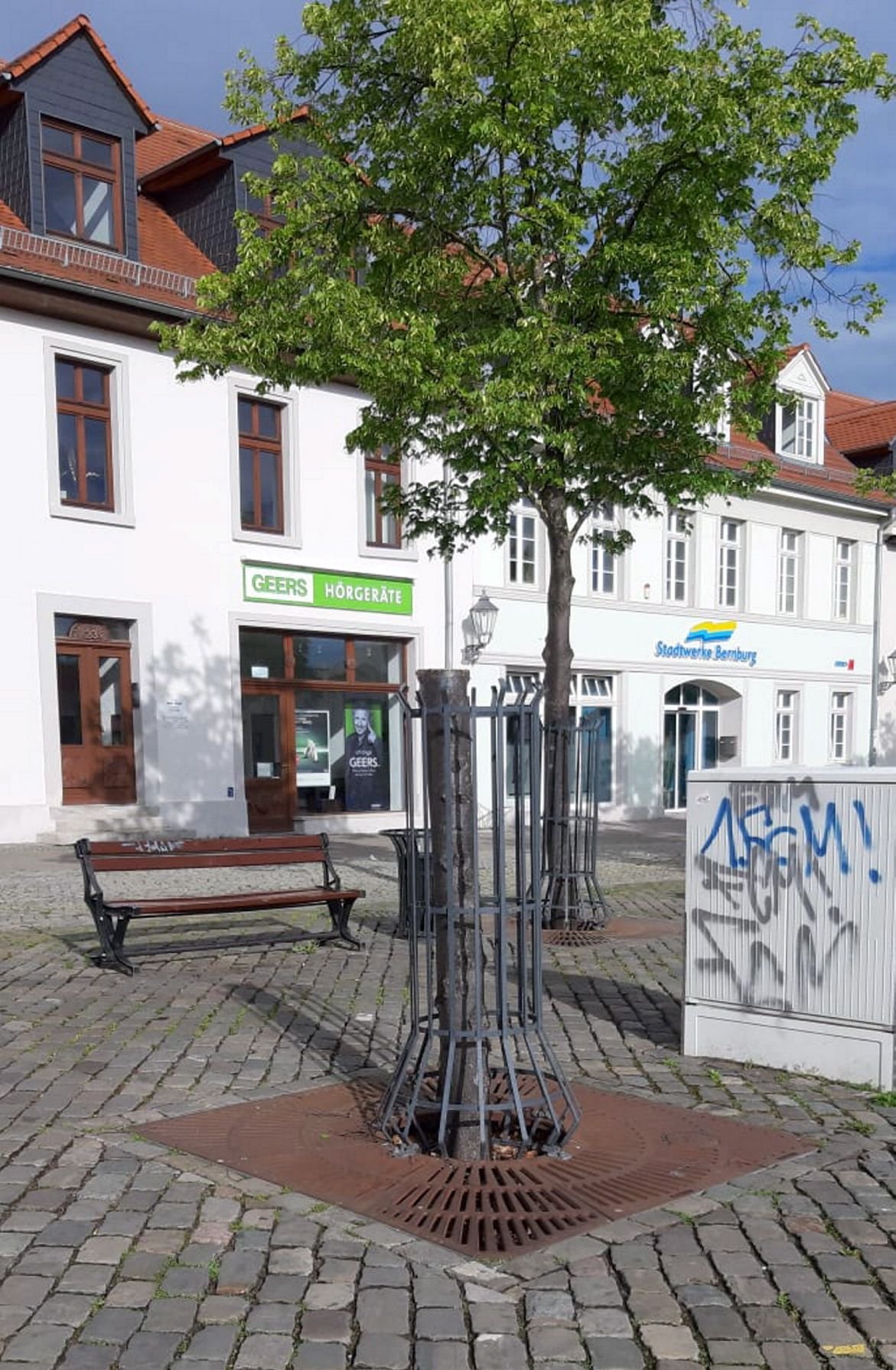 Von dieser Linde am Karlsplatz in Bernburg bliebt nur der Stamm übrig.