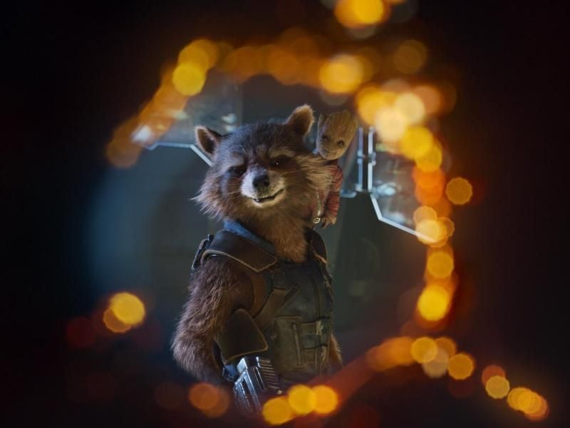 Auch Rocket der Waschbär ist bei der Fortsetzung dabei. Foto: Marvel Studios