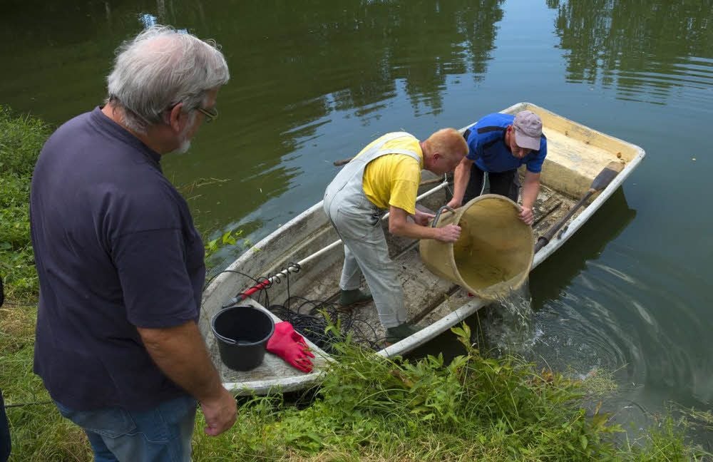 Fast ausnahmslos Fischbrut fischte Manneck aus dem Wasser.