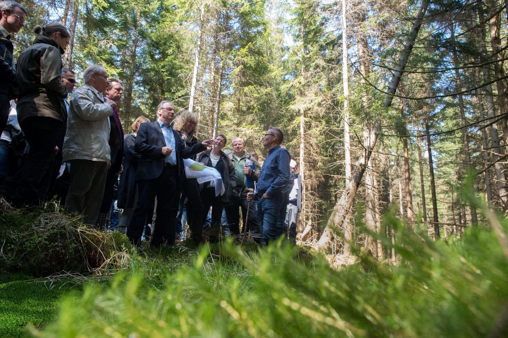 Im Mai 2017 führte Werner Vesterlin von der Bürgerinitiative Pro Winterberg in Schierke Politiker in das Waldstück, wo die Seilbahn geplant ist.