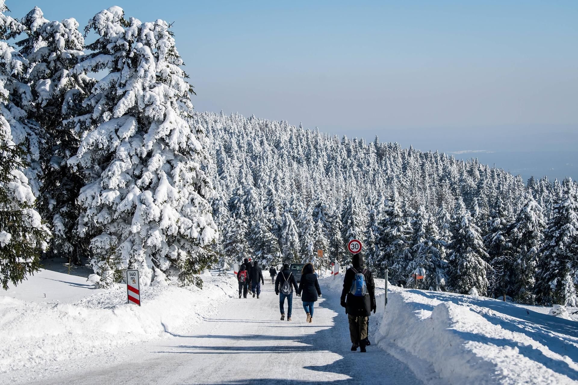 Der Harz könnte nach Ansicht von Experten noch attraktiver für Touristen werden.