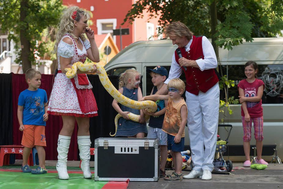 Ein Albino-Tigerpython gehörte zu den Stars der Harzer Sommertage 2015 in Thale.