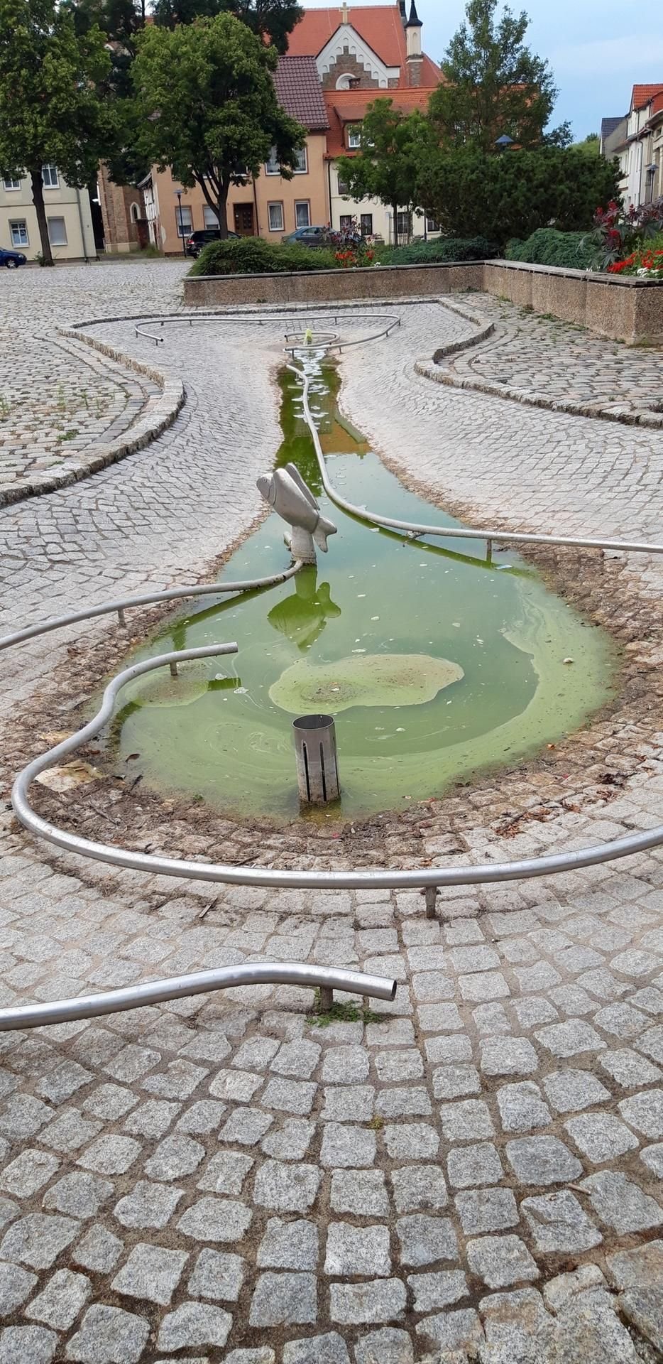 Über 19 Meter Länge erstreckt sich der Wasserlauf in einer asymmetrisch gepflasterten Senke mit Gefälle. Jetzt aber ist der Brunnen ohne Umwälz- und Filteranlage beinahe ausgetrocknet und das Wasser gekippt.