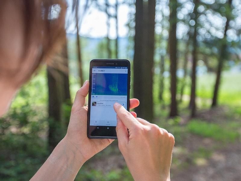 Um Vogelstimmen leichter von anderen Geräuschen unterscheiden zu können, werden die Aufnahmen in der Birdnet-App auch visualisiert. Foto: Stefan Kahl/BirdNET